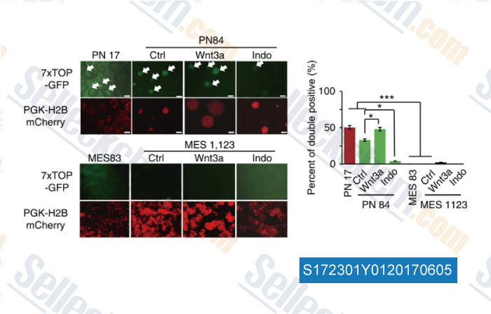 Mebendazole Le Moins Cher Mebendazole Le Moins Cher